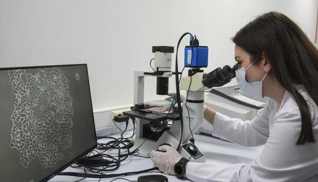Diş kök hücreleri çikolata kistine umut oldu